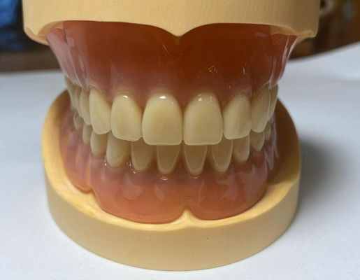 Précise personnalisable, adéquation complète, prothèse acrylique légère et résistante aux taches